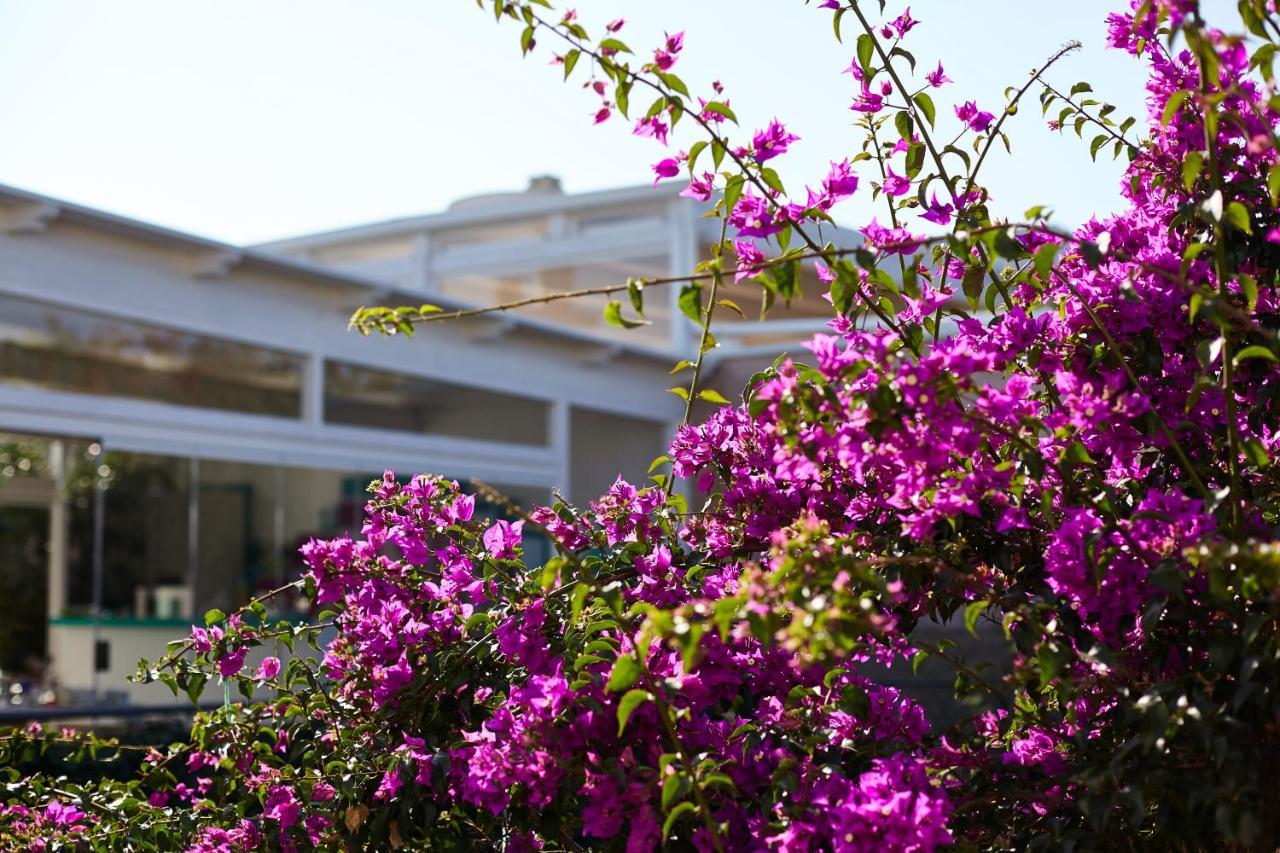 Villa Dapper بولينيانو آ ماري المظهر الخارجي الصورة